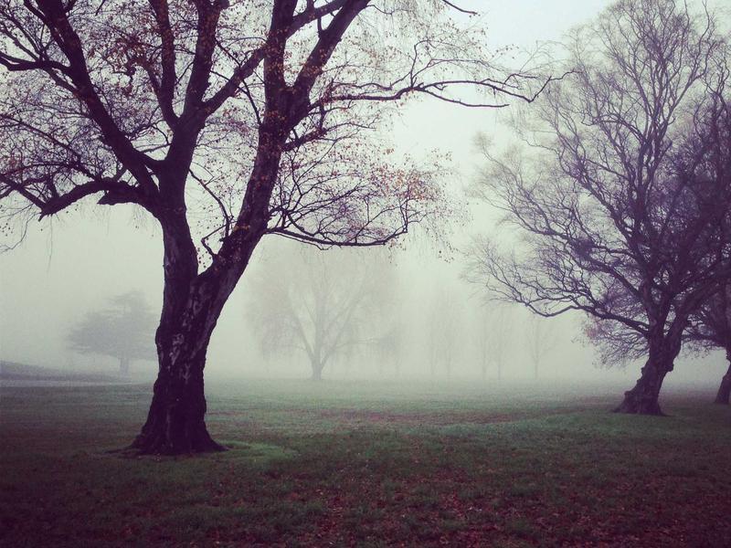 Professional real estate closing team